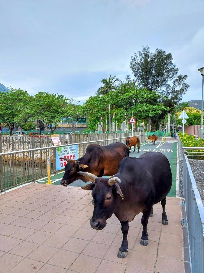 Silvermine Beach Resort Hong Kong Luaran gambar